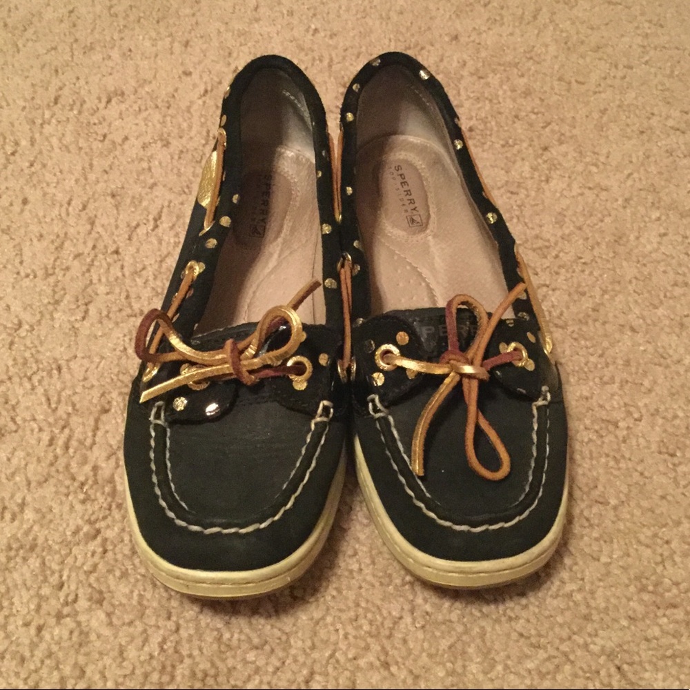 Sperry angelfish